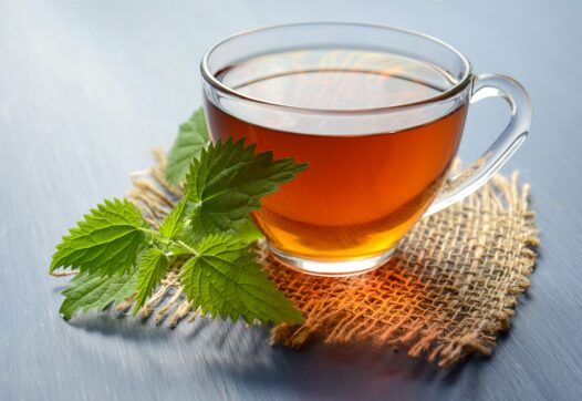 Wild Nettle Vitality